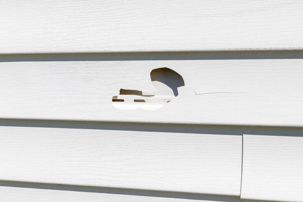 Affordable siding repair and maintenance services in Graham, NC