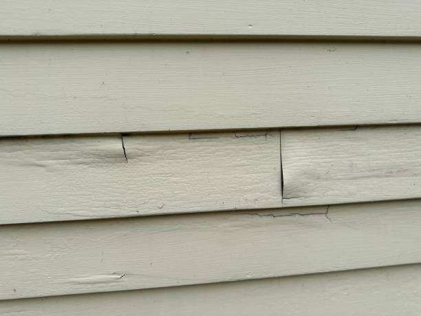 Best Historical Building Siding Restoration  in Graham, NC